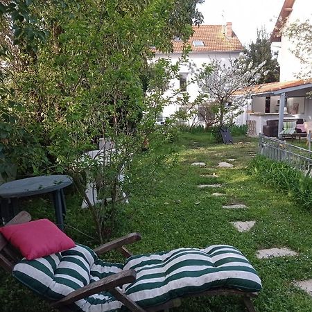 2 Chambres Et Salle De Bain Un Oasis De Bien Etre Piscine Et Jardin Direct Gare Aeroport Toulouse Eksteriør billede