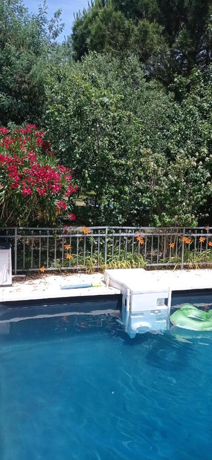 2 Chambres Et Salle De Bain Un Oasis De Bien Etre Piscine Et Jardin Direct Gare Aeroport Toulouse Eksteriør billede