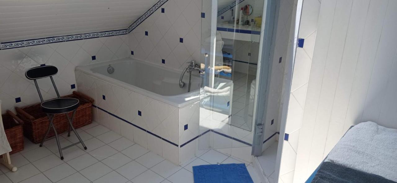 2 Chambres Et Salle De Bain Un Oasis De Bien Etre Piscine Et Jardin Direct Gare Aeroport Toulouse Eksteriør billede