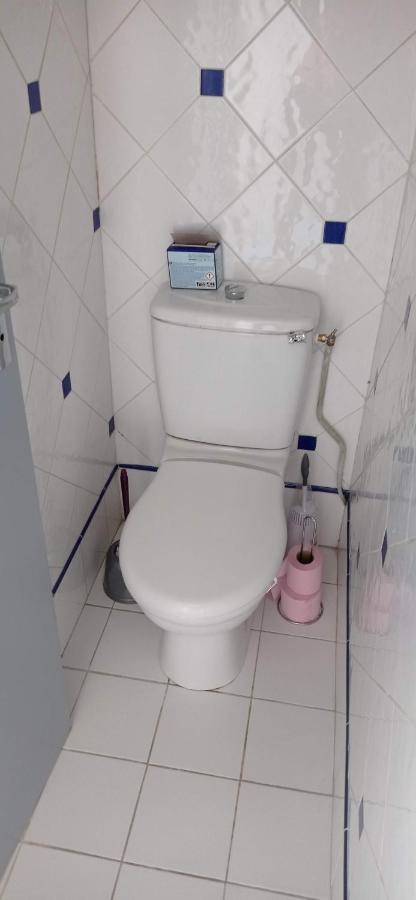 2 Chambres Et Salle De Bain Un Oasis De Bien Etre Piscine Et Jardin Direct Gare Aeroport Toulouse Eksteriør billede