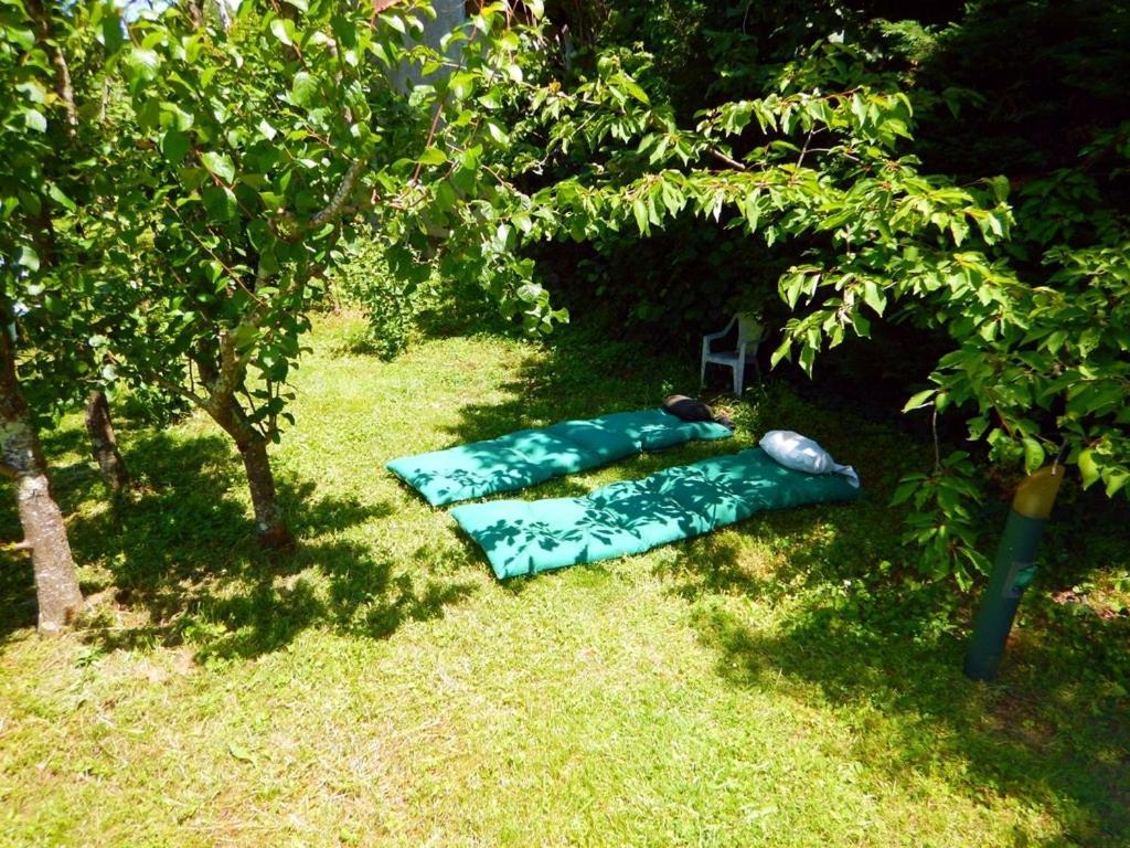 2 Chambres Et Salle De Bain Un Oasis De Bien Etre Piscine Et Jardin Direct Gare Aeroport Toulouse Eksteriør billede